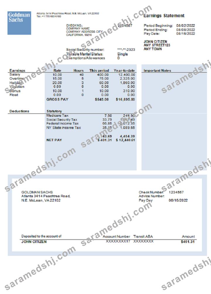 USA financial company earning statement template in Word and PDF format, version 2